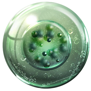 Oveallgo® NanoLipo HPV Genital Warts Eraser Cream Ultra 20 Oveallgo® NanoLipo HPV Genital Warts Eraser Cream Ultra