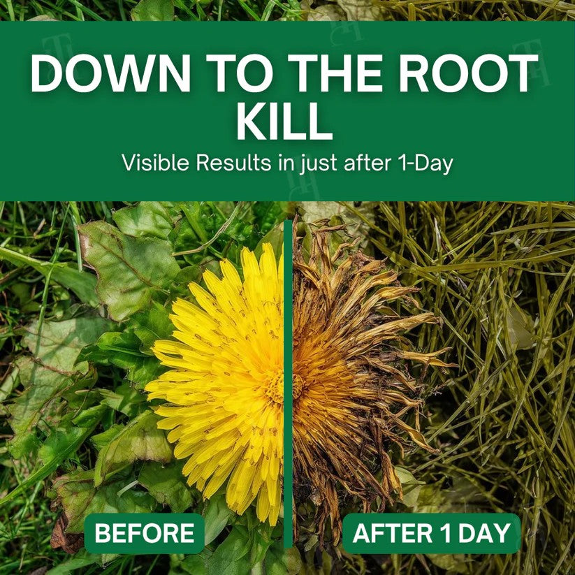 🌟 Official Store |🔥Hot Sale - 50% OFF🌿Oveallgo® 3 in 1 Max Power Herbicide