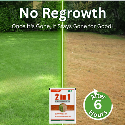 🌟 Official Store |🔥Hot Sale - 50% OFF🌿Oveallgo® 2 in 1 Max Power Herbicide