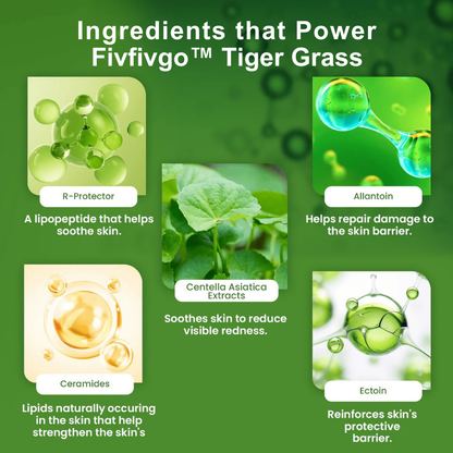 【OFFICIAL STORE】 Fivfivgo™ Centella Color Correcting Treatment